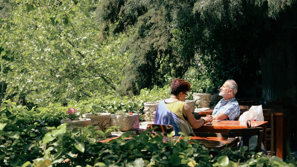 Senior couple relaxing in a sunny park surrounded by greenery, enjoying a peaceful moment together.
