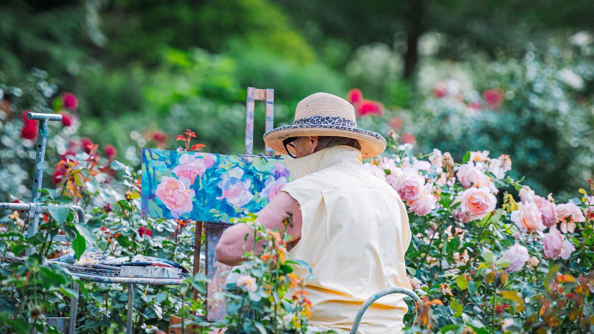 A senior woman painting flowers in a vibrant garden, surrounded by roses on a sunny day.