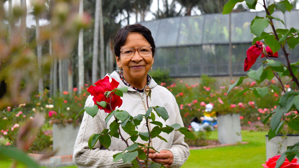 Elderly woman enjoying a beautiful day in a vibrant rose garden in Bogotá, Colombia.