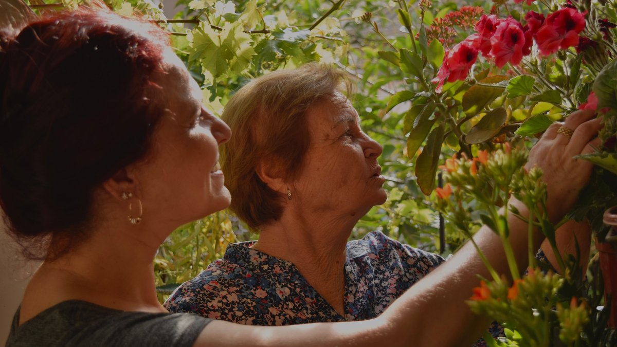 Adult and senior woman lovingly tending to plants in a sunlit garden.