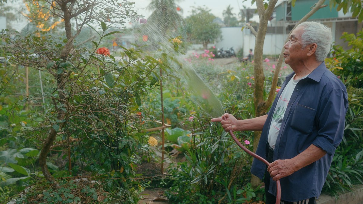 Senior gardener waters lush garden, showcasing nature and relaxation.