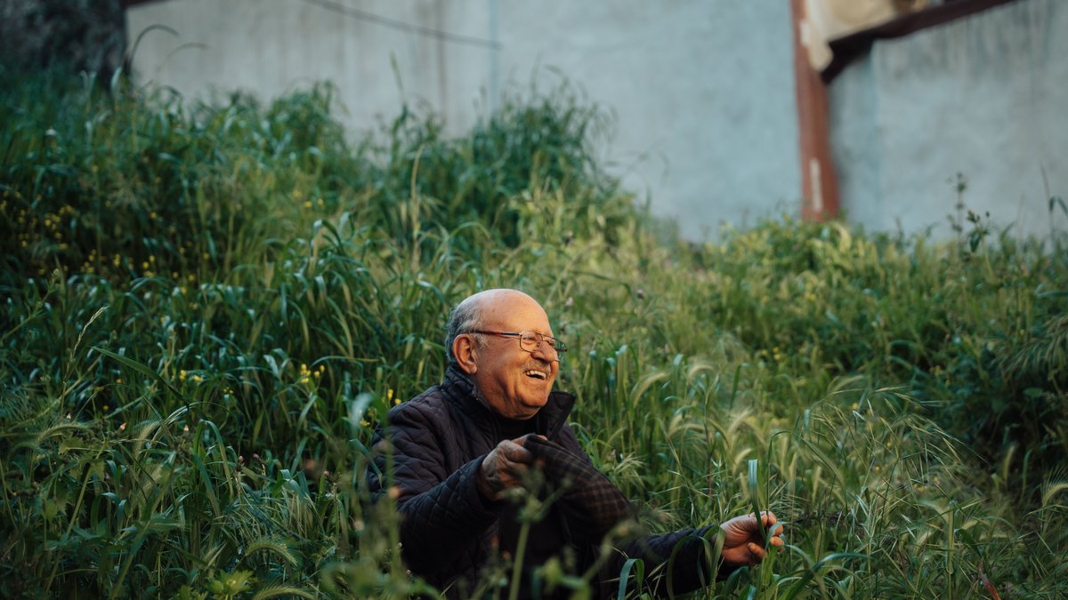 Cheerful elderly man sitting in lush green garden, Istanbul. Capturing joy in nature.