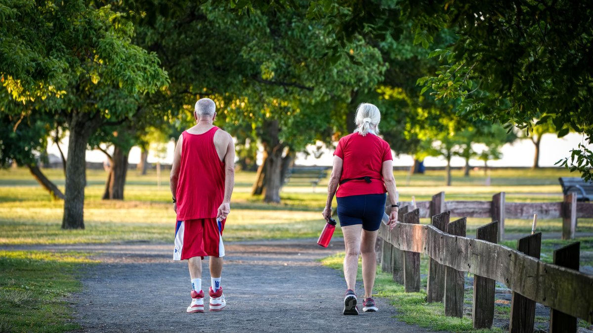 Two senior adults walking in a lush green park pathway, enjoying a sunny summer day.