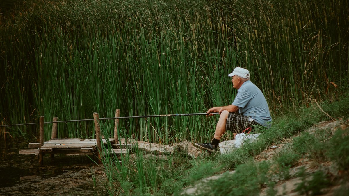 A senior man enjoys a peaceful fishing experience by a serene lake surrounded by tall reeds.